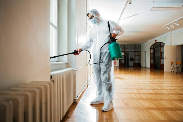 Best Fumigation Services  in Spring Mount, PA